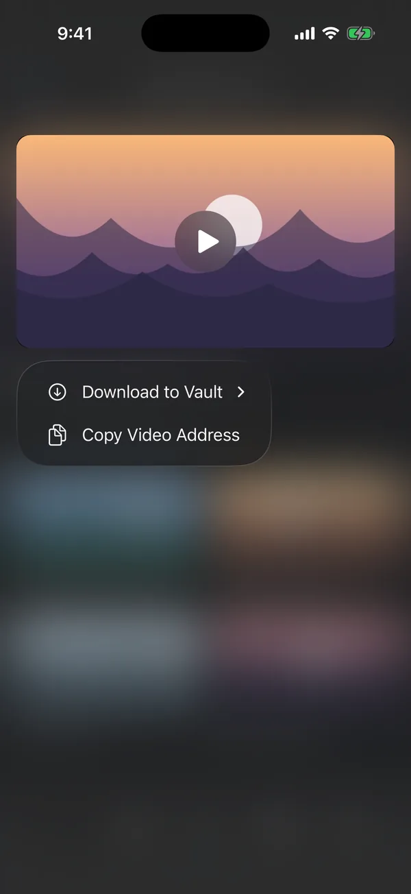 The Download to Vault menu over a video
